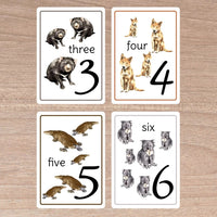 Australian Number Cards