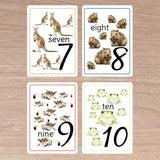 Australian Number Cards